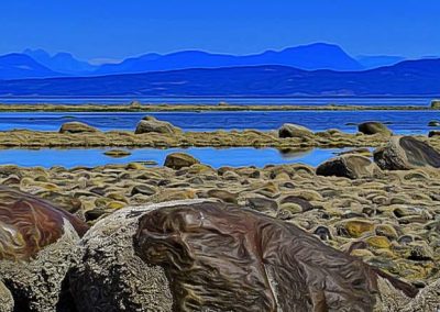 rocks and boulders at low tide