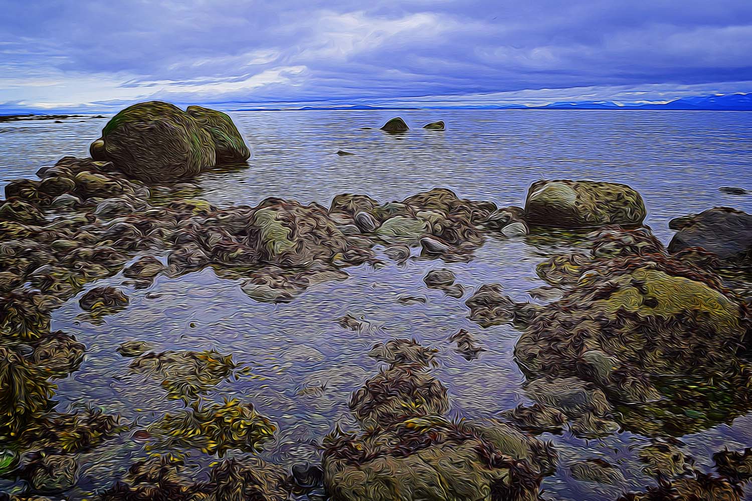 rocks on the shoreline at low tide